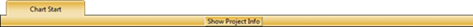 Figure 10 - Tab and Bar (Show Project Info Button)